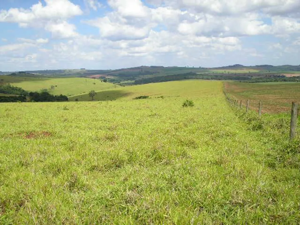 Fazenda, 260 hectares - Foto 3