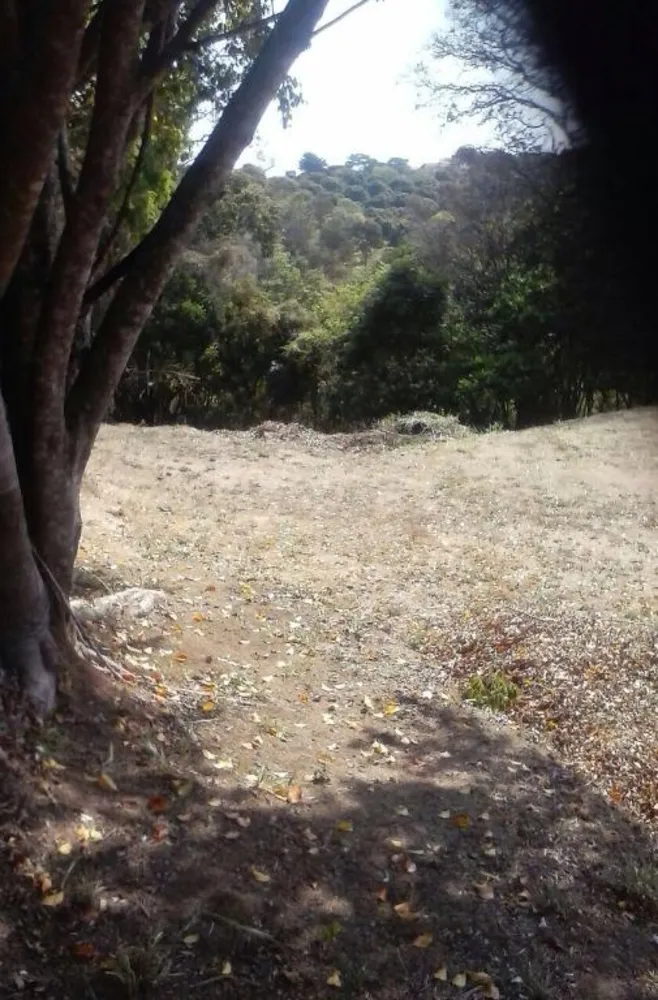Terreno, 2000 m² - Foto 2