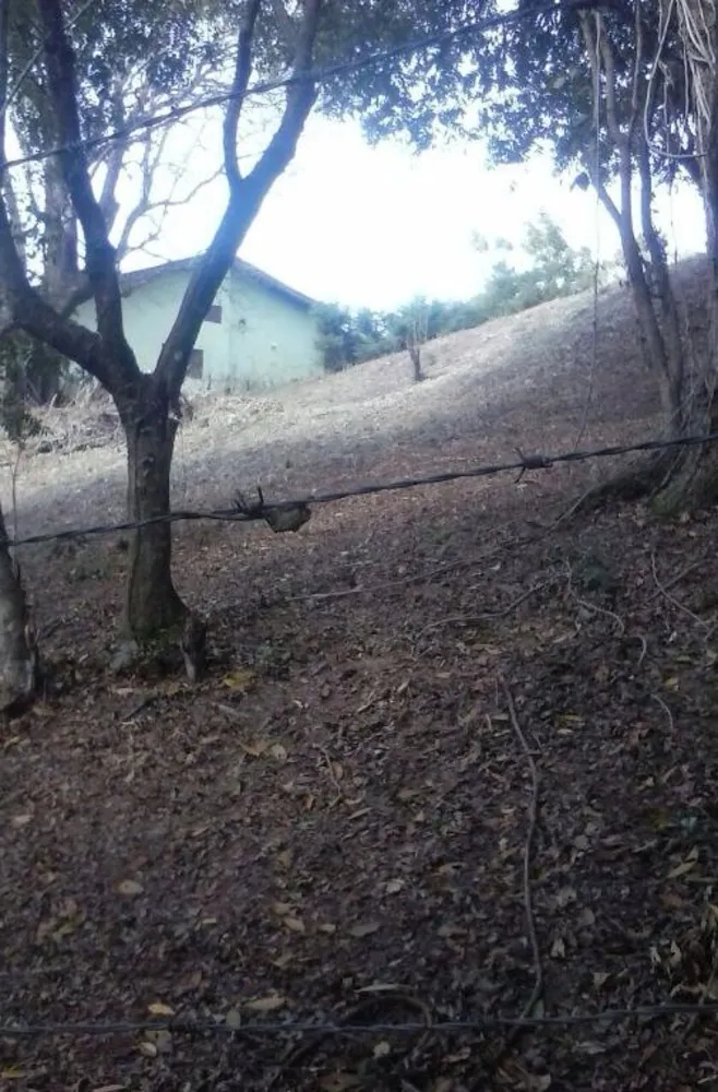 Terreno, 2000 m² - Foto 4