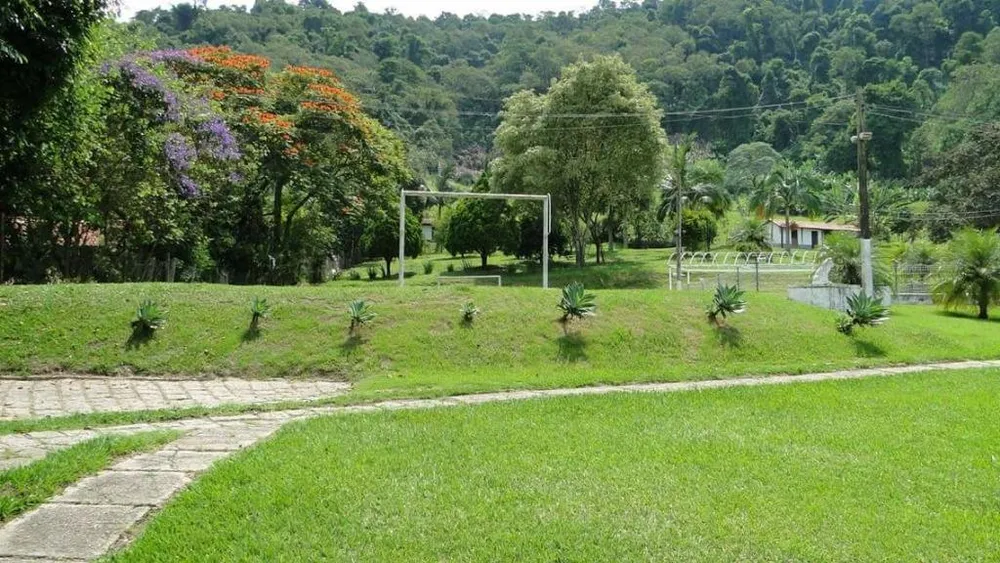 Sítio, 3 hectares - Foto 4