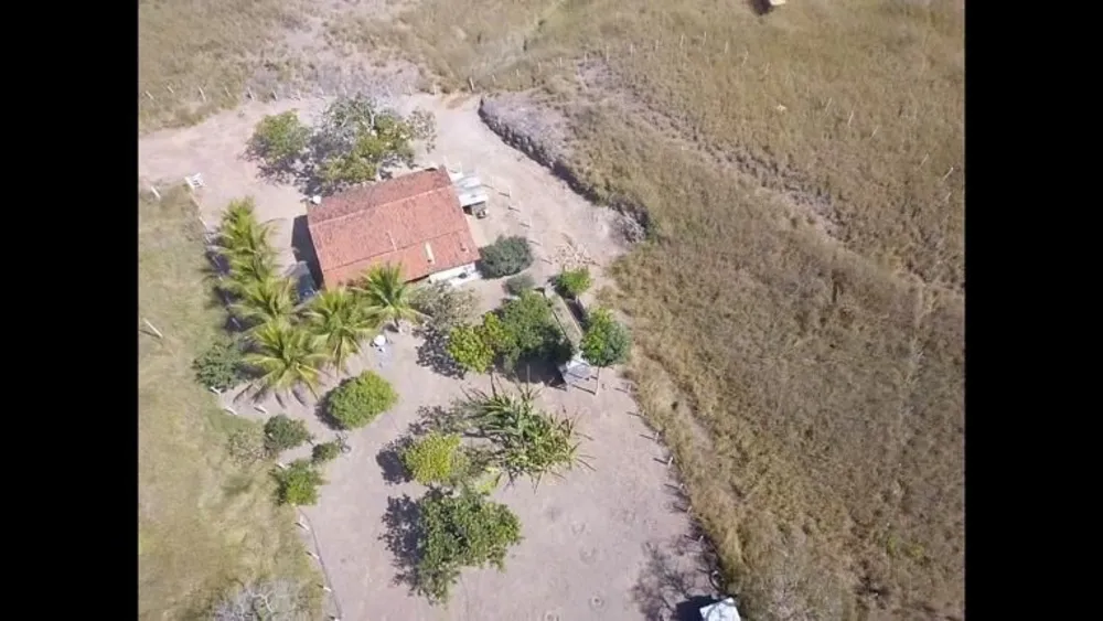 Fazenda, 194 hectares - Foto 6