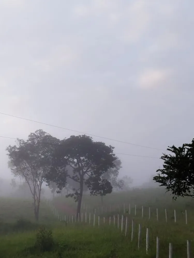 Fazenda, 194 hectares - Foto 8