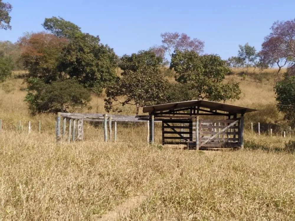 Fazenda, 194 hectares - Foto 16