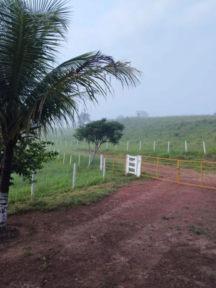 Fazenda, 194 hectares - Foto 11