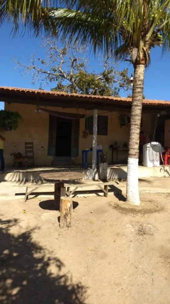 Fazenda, 194 hectares - Foto 15