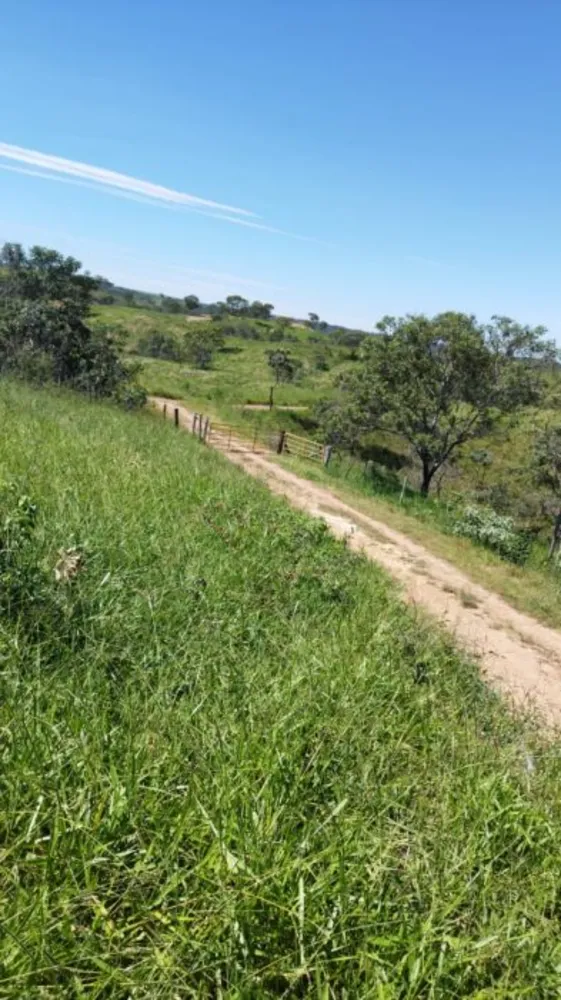 Fazenda, 194 hectares - Foto 9
