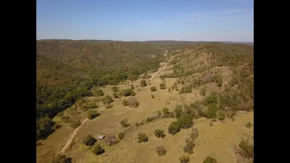 Fazenda, 194 hectares - Foto 7