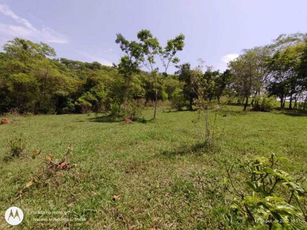 Fazenda, 194 hectares - Foto 7