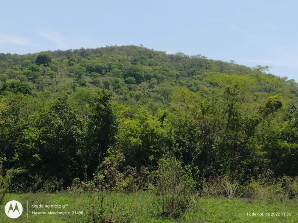 Fazenda, 194 hectares - Foto 4