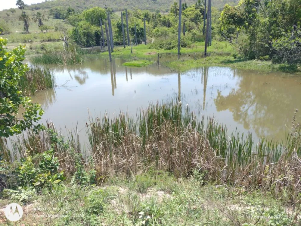 Fazenda, 194 hectares - Foto 3