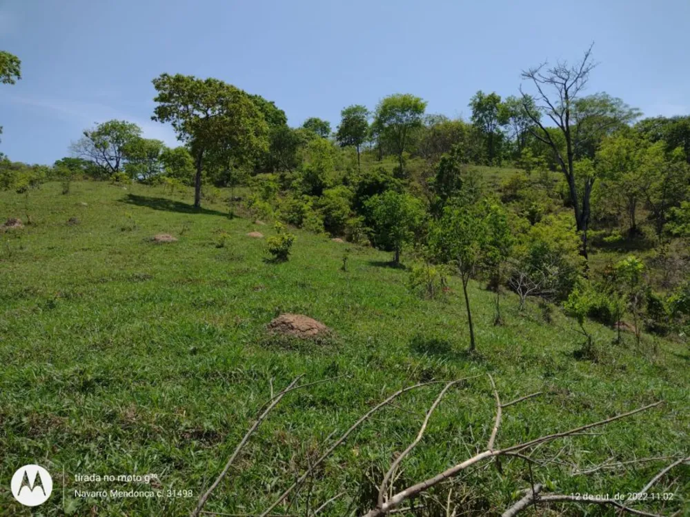 Fazenda, 194 hectares - Foto 6