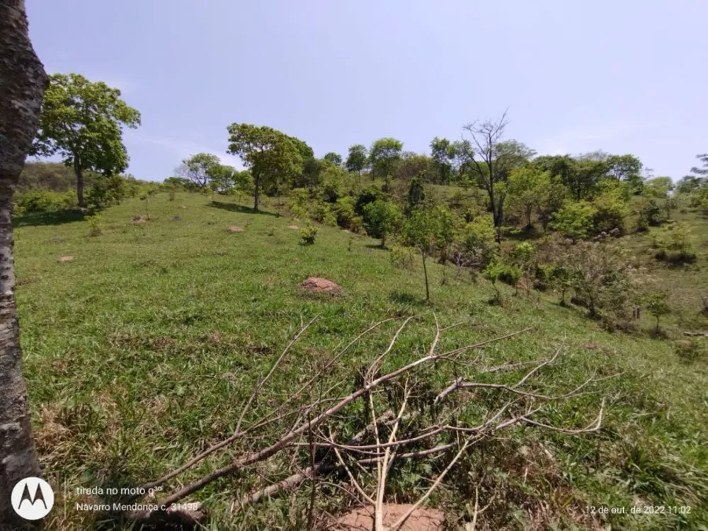 Fazenda, 194 hectares - Foto 2