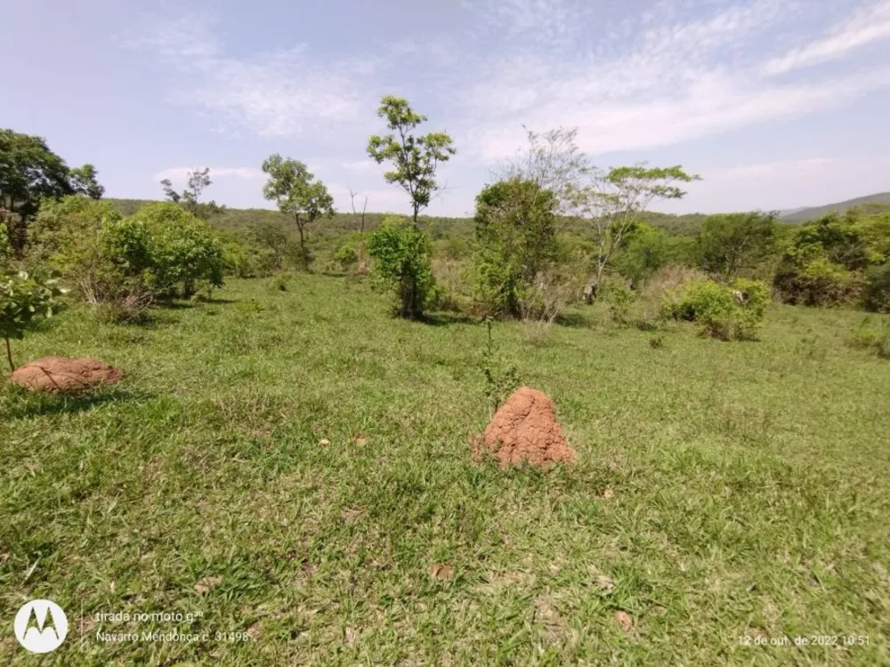 Fazenda, 194 hectares - Foto 9