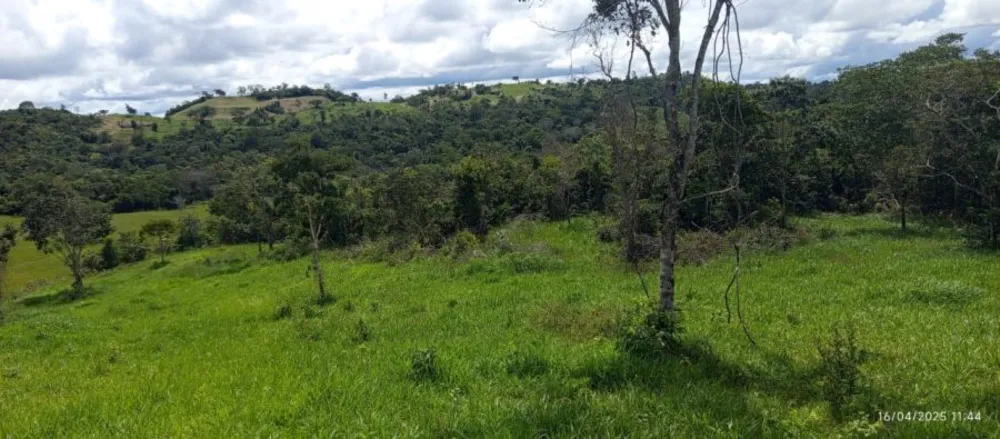 Fazenda, 847 hectares - Foto 9