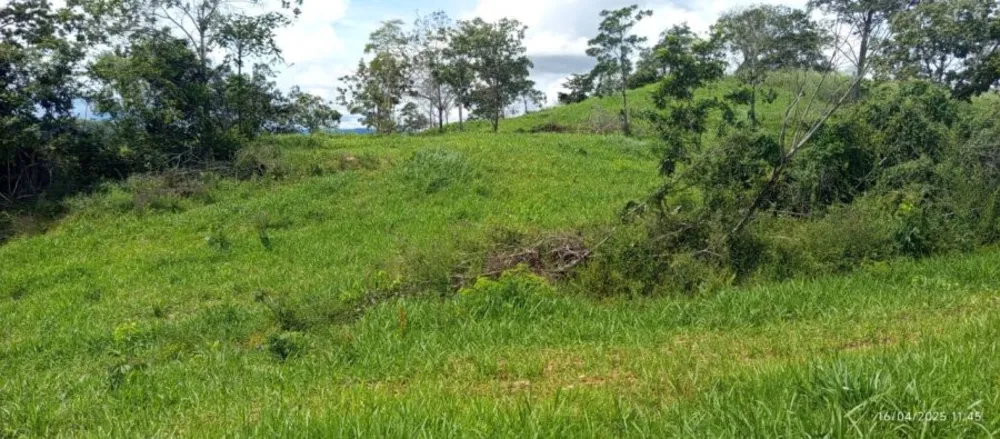 Fazenda, 847 hectares - Foto 10