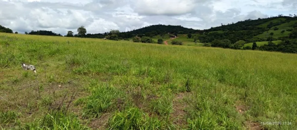 Fazenda, 847 hectares - Foto 6