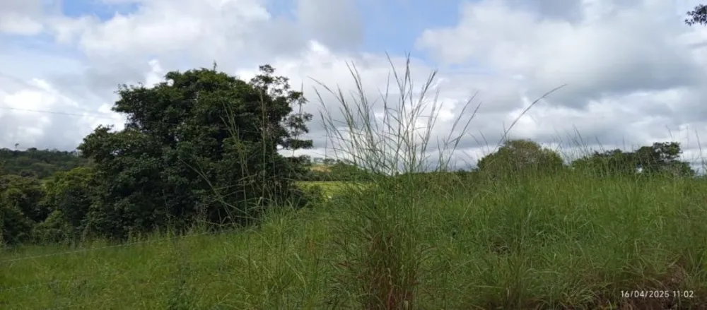 Fazenda, 847 hectares - Foto 5