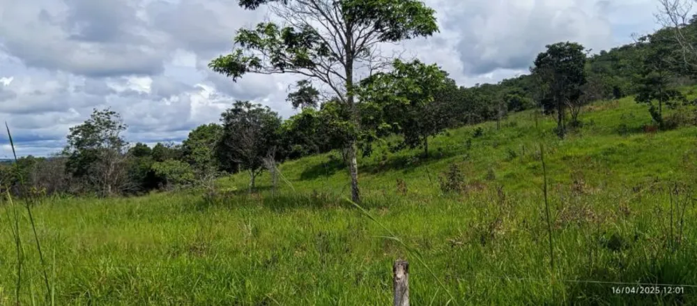 Fazenda, 847 hectares - Foto 8