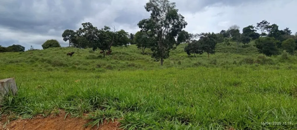 Fazenda, 847 hectares - Foto 11