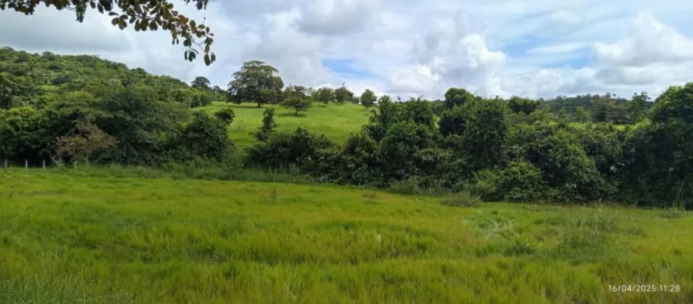 Fazenda, 847 hectares - Foto 4