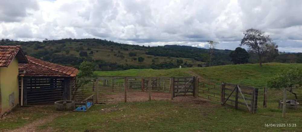 Fazenda, 847 hectares - Foto 13