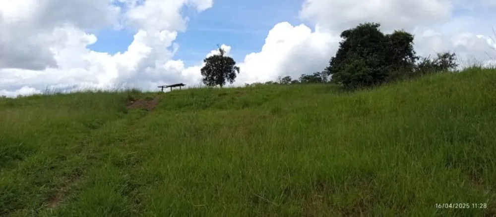 Fazenda, 847 hectares - Foto 3