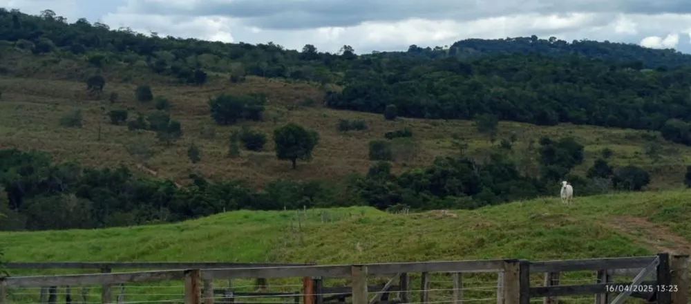 Fazenda, 847 hectares - Foto 12