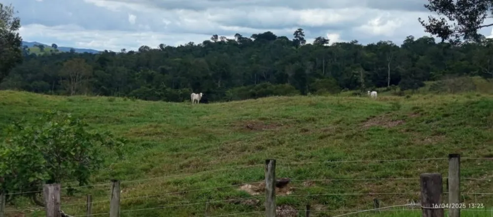Fazenda, 847 hectares - Foto 14