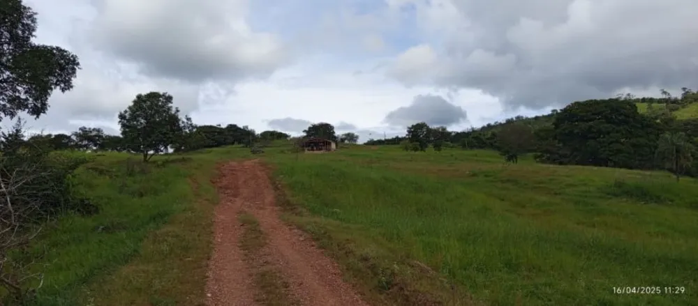 Fazenda, 847 hectares - Foto 2