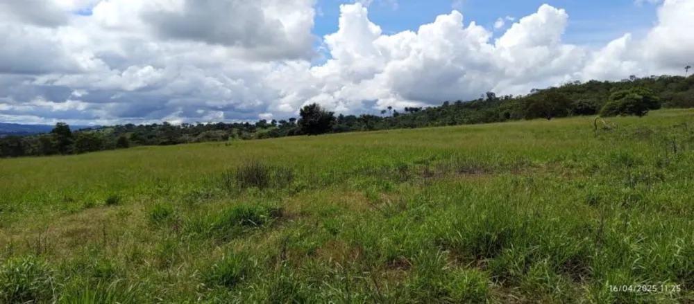Fazenda, 847 hectares - Foto 7
