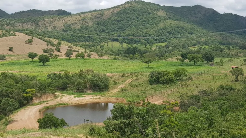 Fazenda, 508 hectares - Foto 3