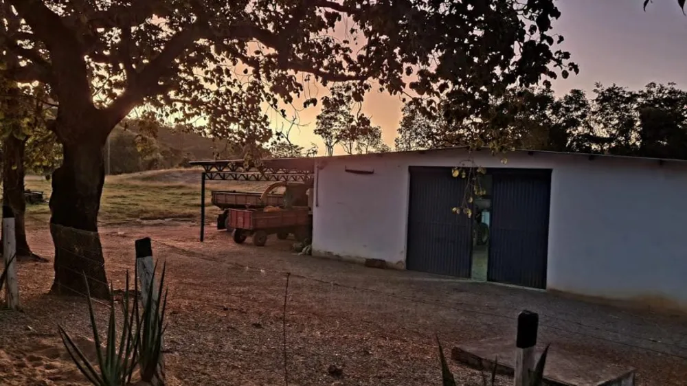 Fazenda, 508 hectares - Foto 4