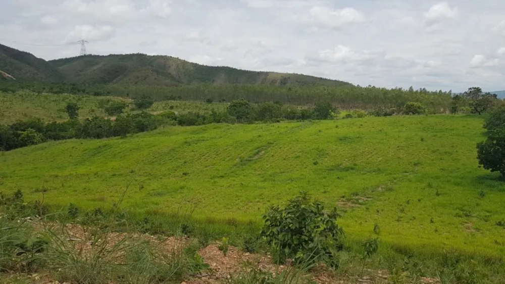 Fazenda, 508 hectares - Foto 5