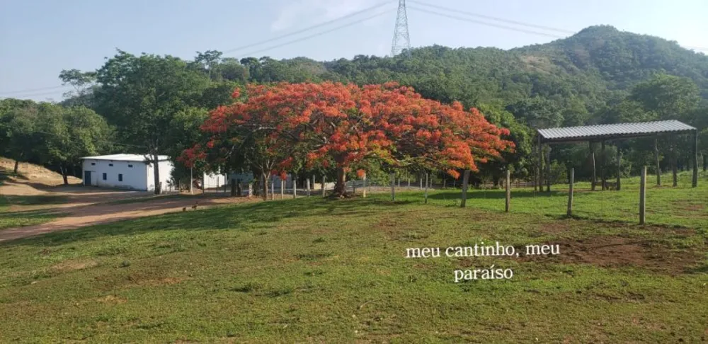 Fazenda, 508 hectares - Foto 6