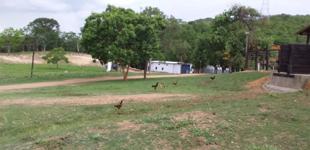 Fazenda, 508 hectares - Foto 2