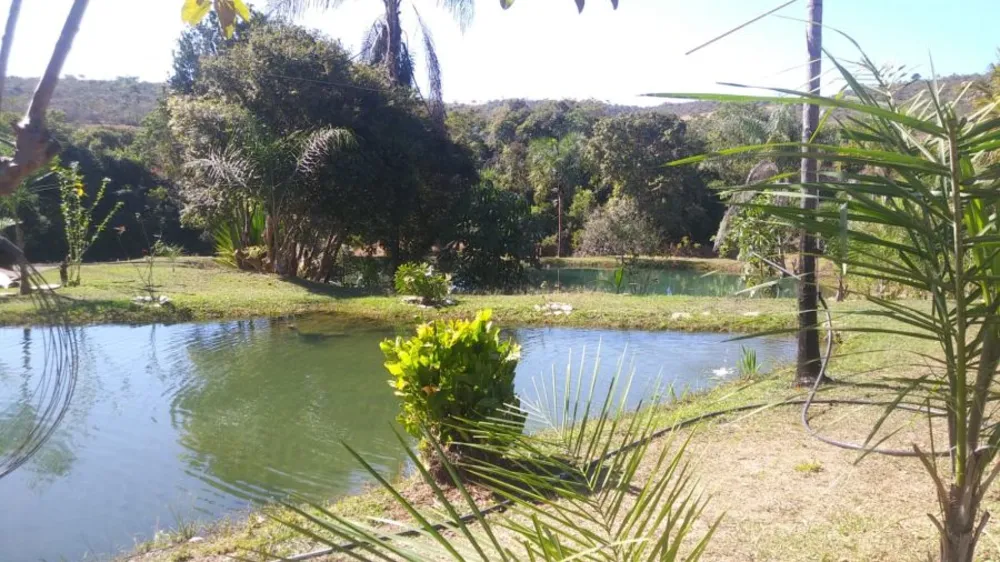 Fazenda, 48 hectares - Foto 8