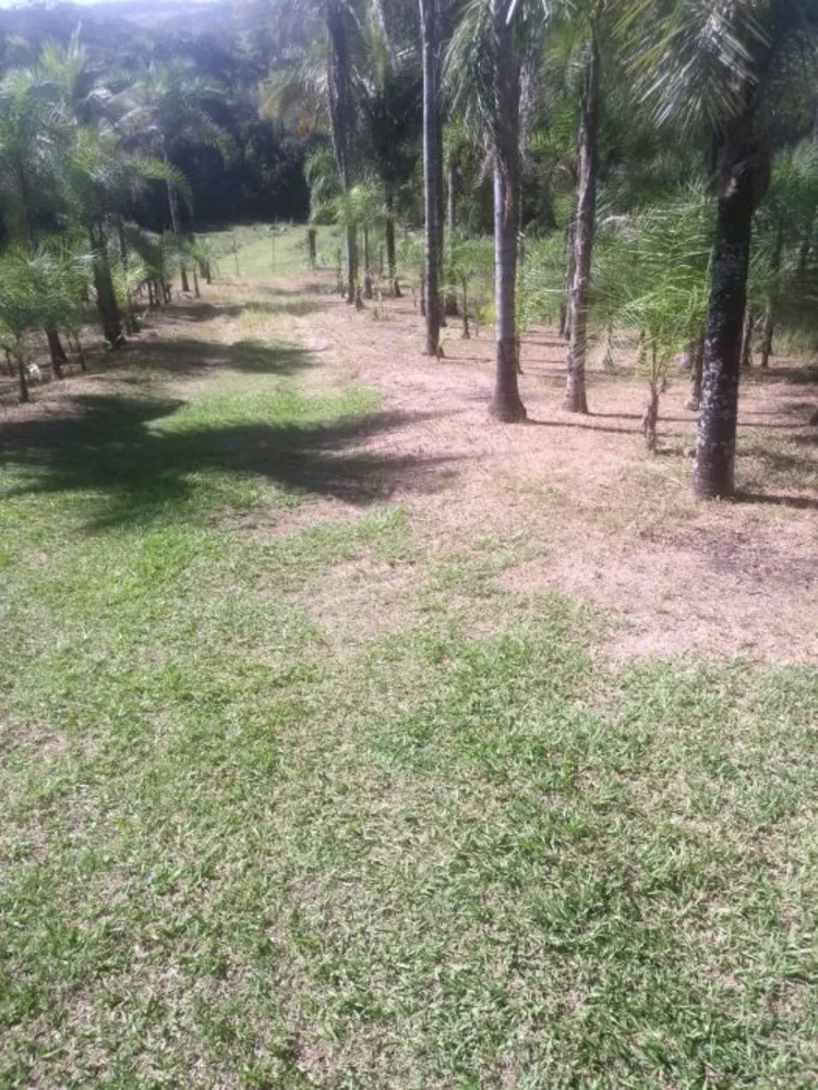 Fazenda, 48 hectares - Foto 16