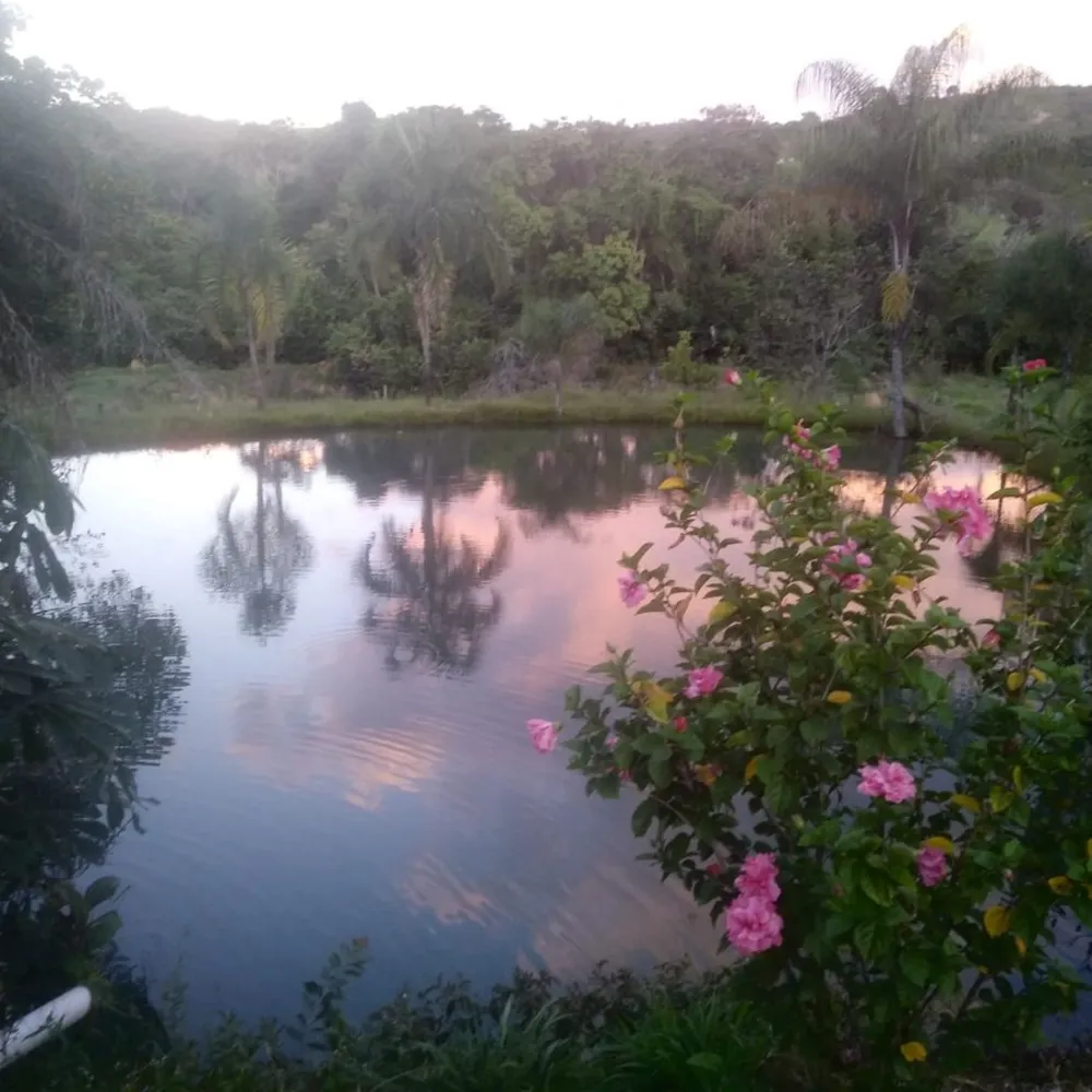 Fazenda, 48 hectares - Foto 14