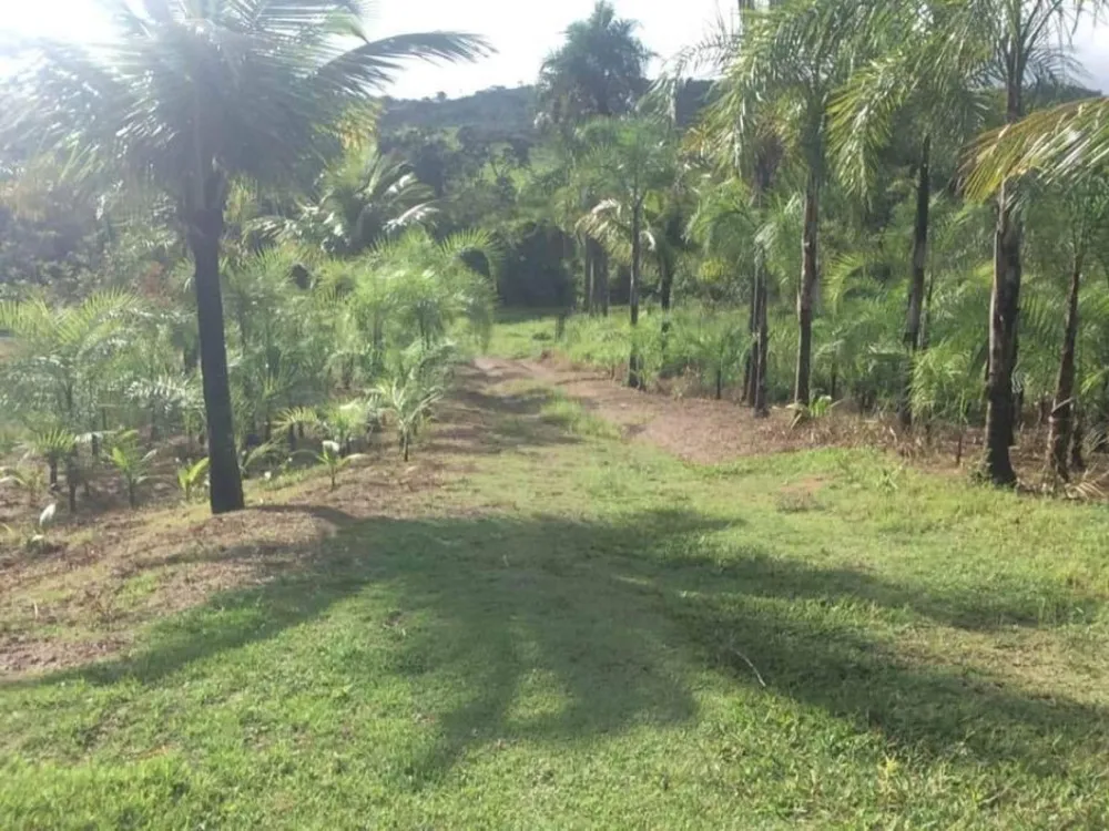 Fazenda, 48 hectares - Foto 13