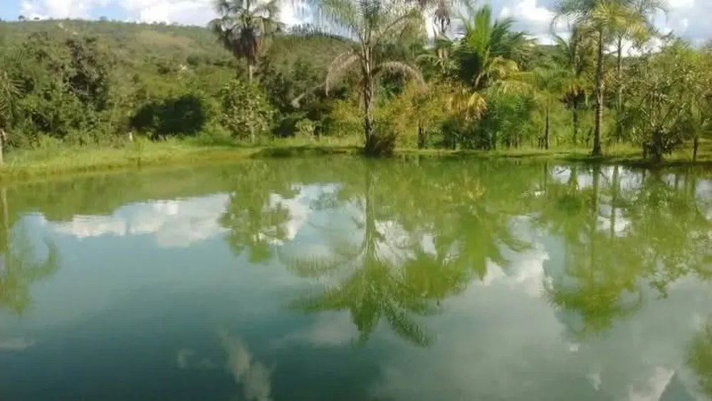 Fazenda, 48 hectares - Foto 10