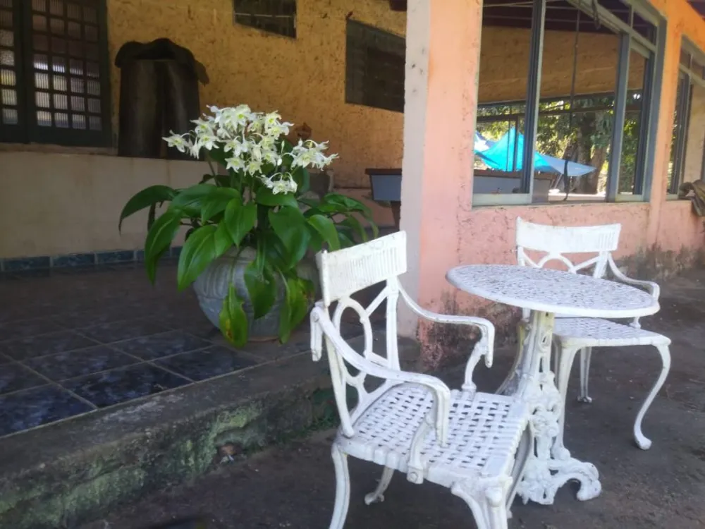 Fazenda, 48 hectares - Foto 7