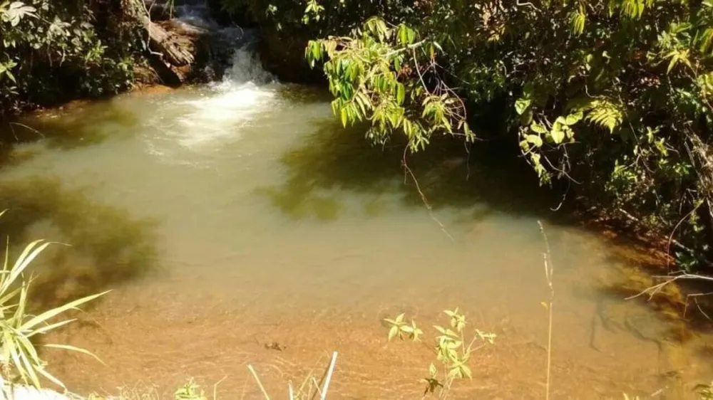 Fazenda, 48 hectares - Foto 4