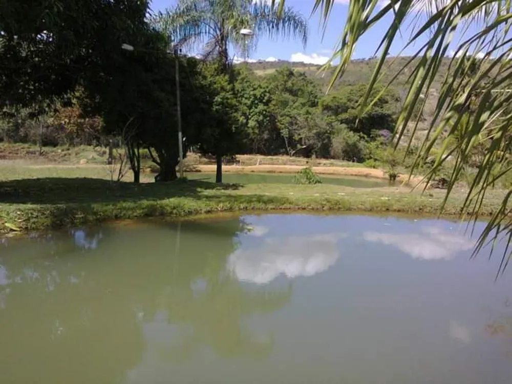 Fazenda, 48 hectares - Foto 9