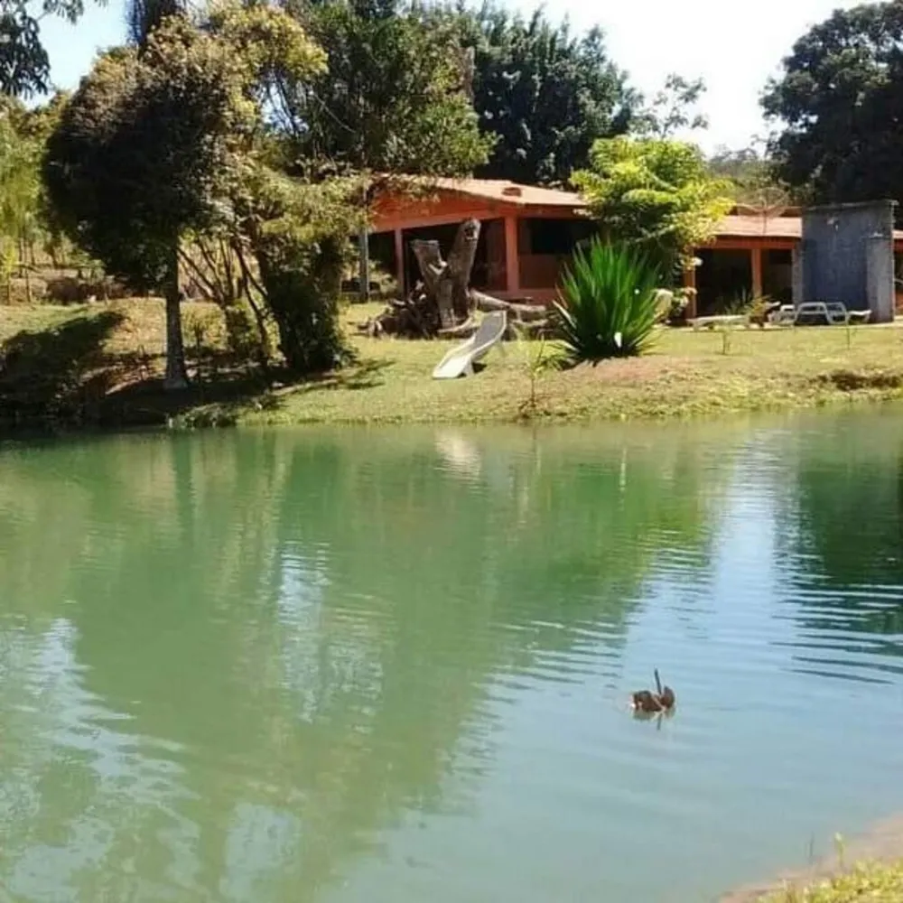 Fazenda, 48 hectares - Foto 11