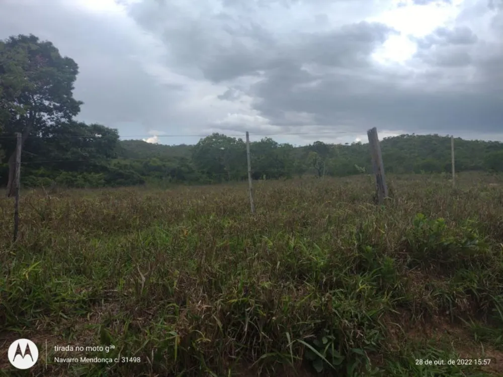 Fazenda, 2 hectares - Foto 16