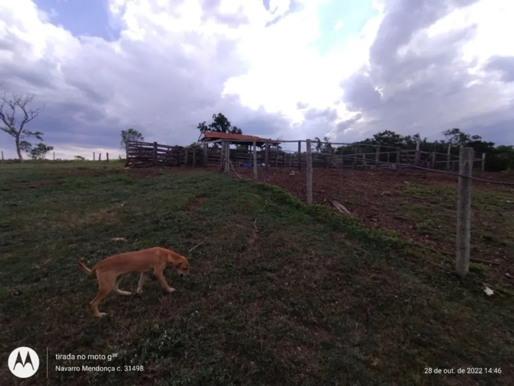 Fazenda, 2 hectares - Foto 6