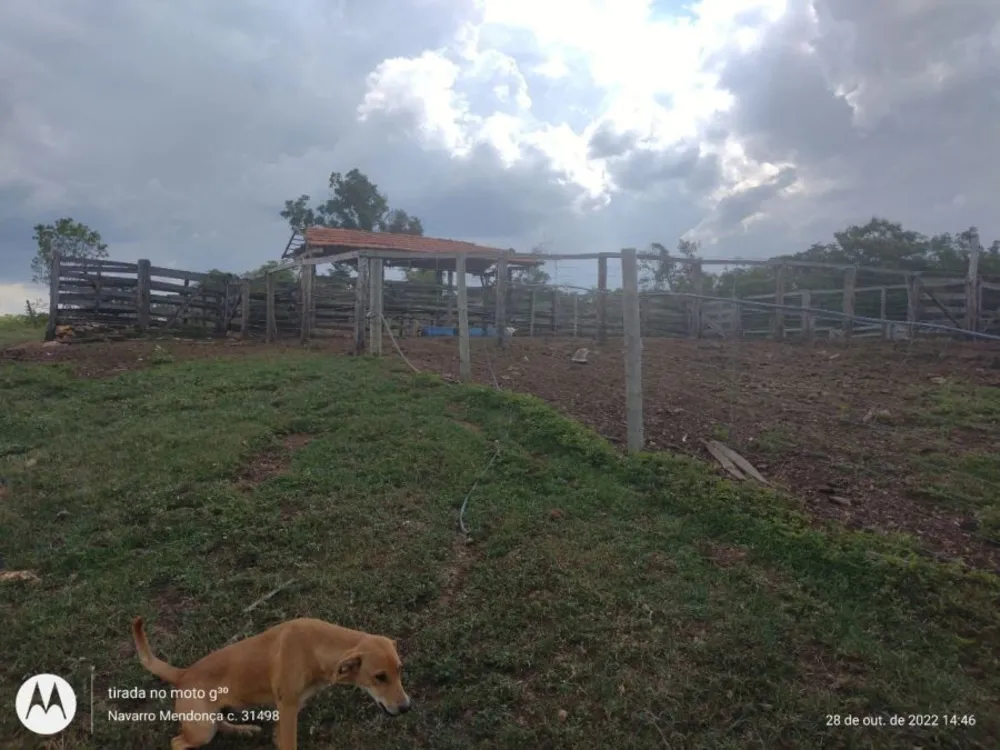 Fazenda, 2 hectares - Foto 7