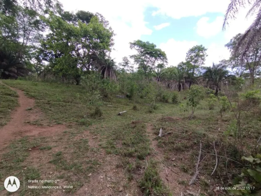 Fazenda, 2 hectares - Foto 8