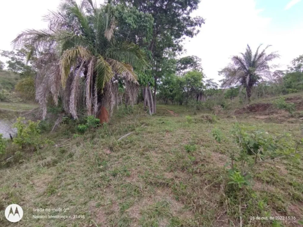 Fazenda, 2 hectares - Foto 6
