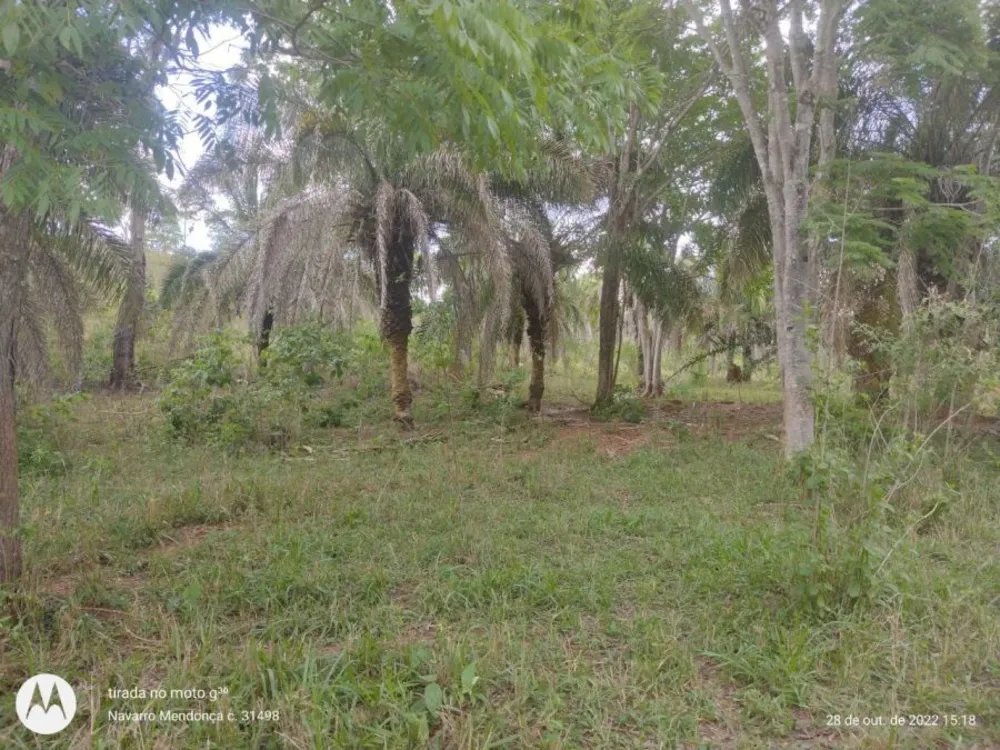 Fazenda, 2 hectares - Foto 1